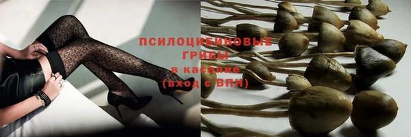 ПСИЛОЦИБИНОВЫЕ ГРИБЫ Армянск