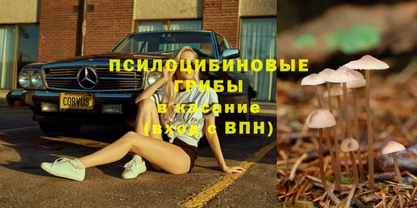 ПСИЛОЦИБИНОВЫЕ ГРИБЫ Армянск