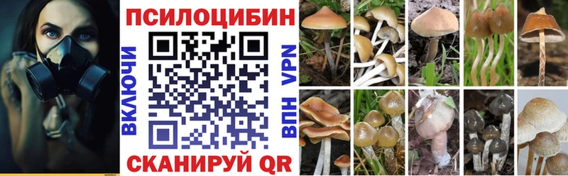 Галлюциногенные грибы Psilocybe  Купить  Ейск 